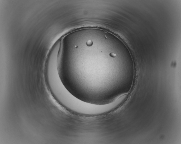 X0000113131134200909251233