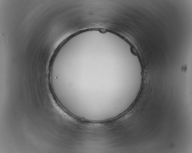 X0000113131135200909251233