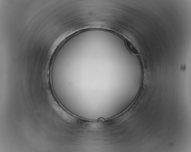 X0000113131136200909251233