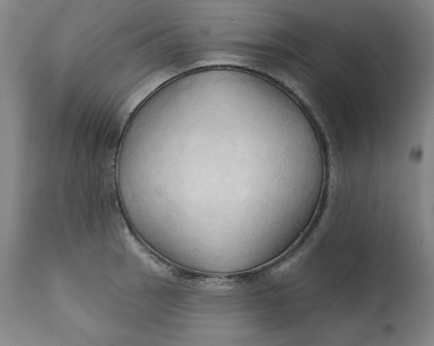 X0000113131137200909251233