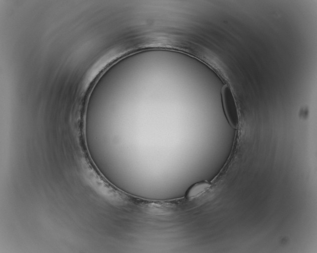 X0000113131138200909251233