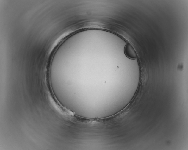 X0000113131139200909251233