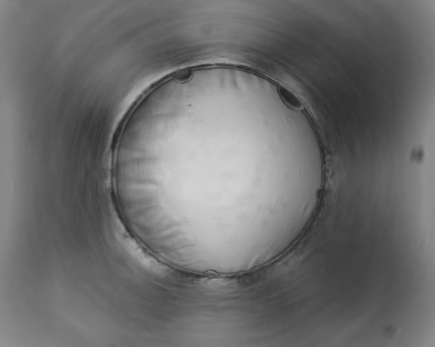 X0000113131140200909251233