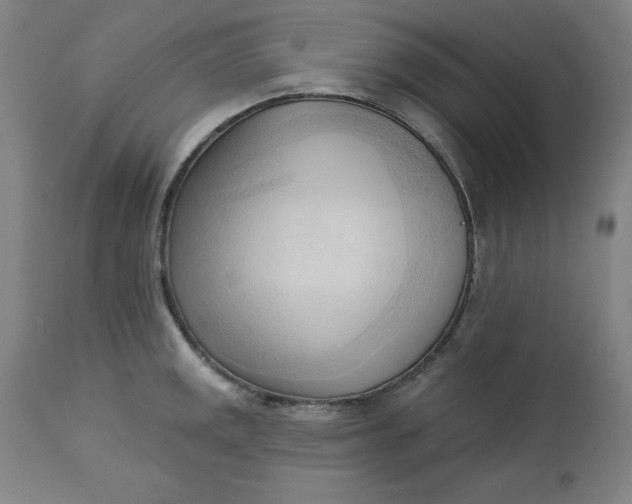 X0000113131141200909251233