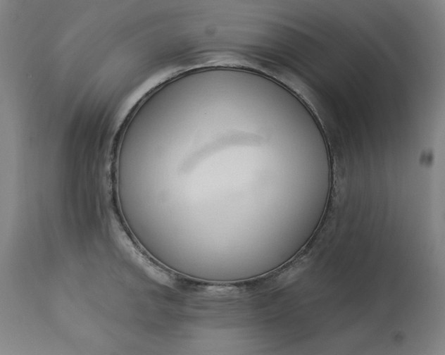 X0000113131142200909251233