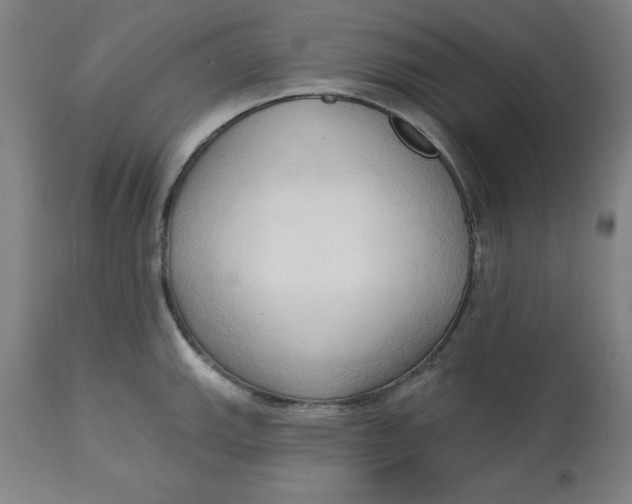 X0000113131143200909251233