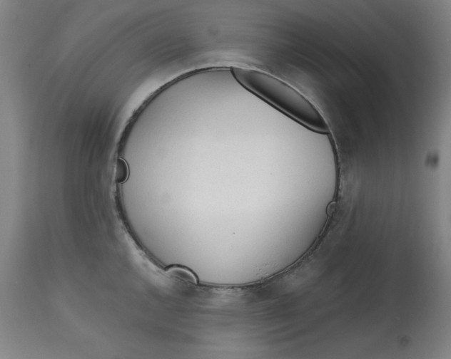 X0000113131144200909251233