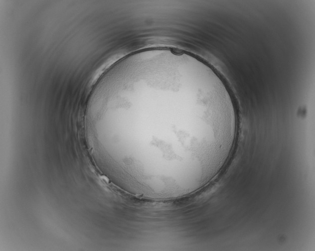 X0000113131145200909251233