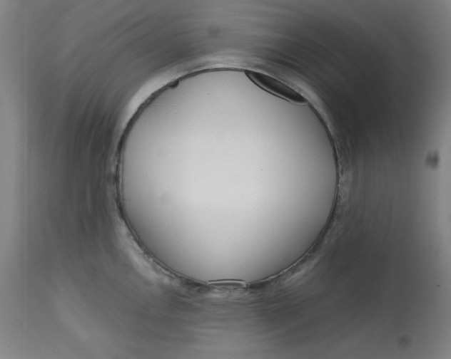 X0000113131146200909251233