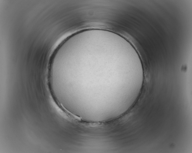 X0000113131147200909251233