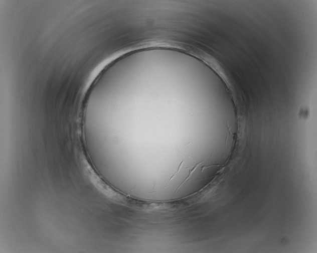 X0000113131148200909251233