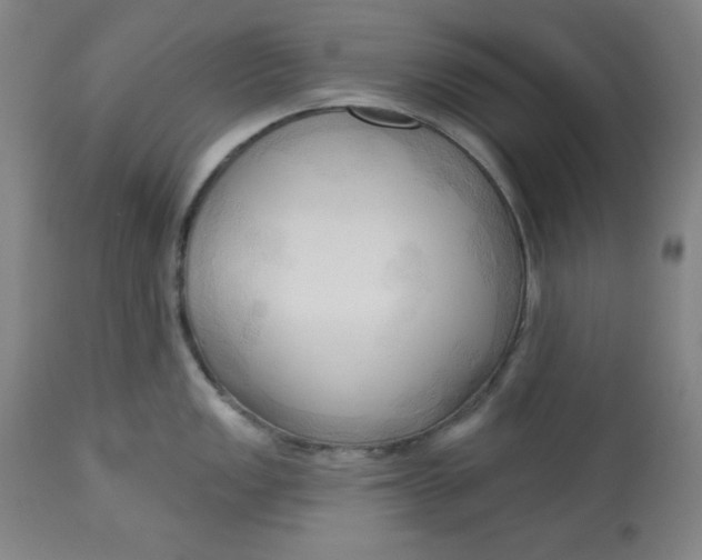 X0000113131149200909251233