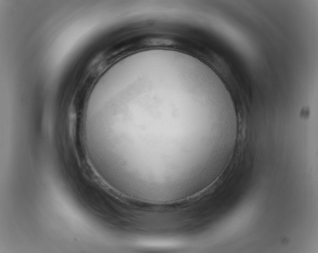 X0000113131151200909251233