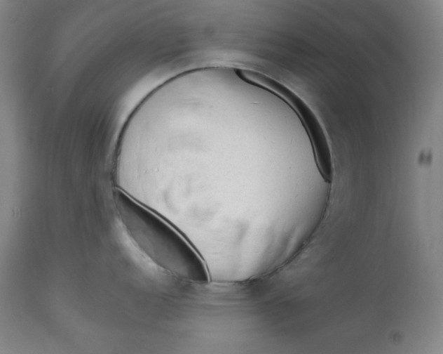 X0000113131152200909251233