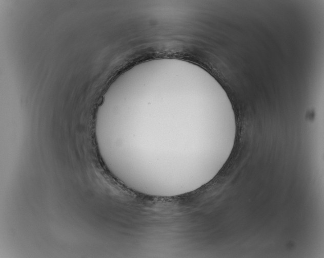 X0000113131153200909251232