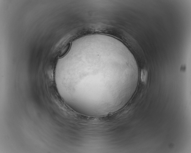 X0000113131155200909251232