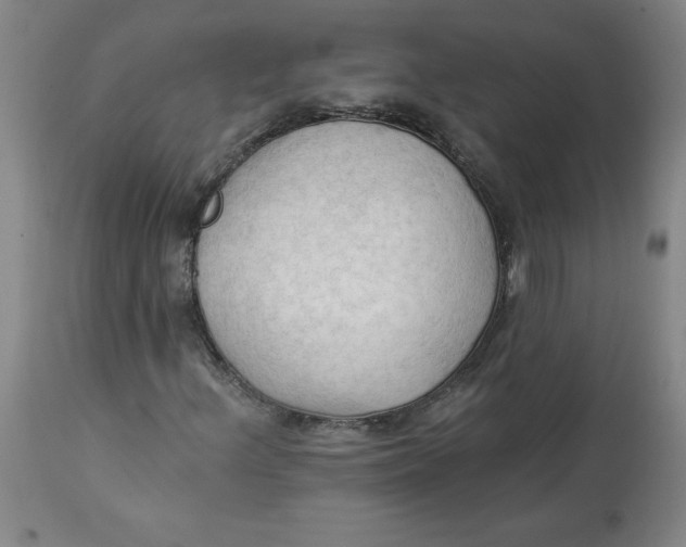 X0000113131156200909251232