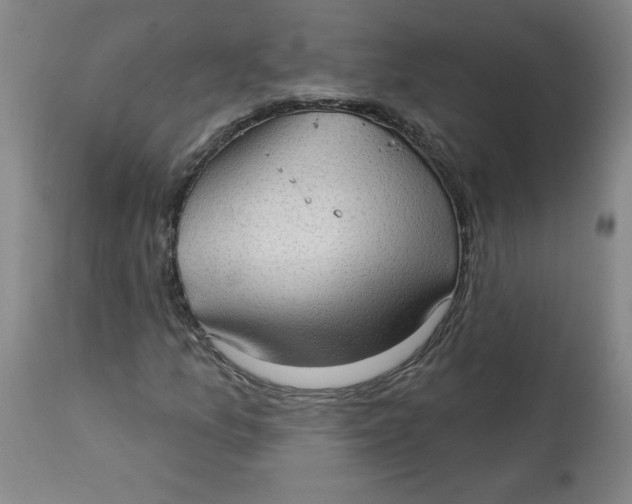 X0000113131157200909251232