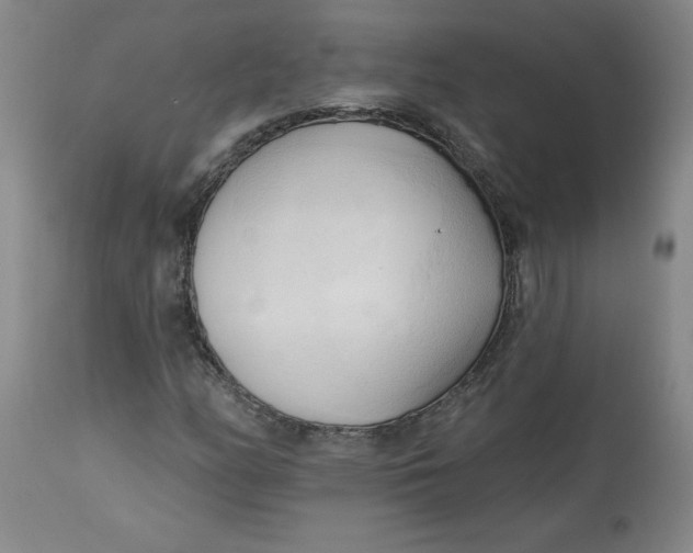 X0000113131158200909251232