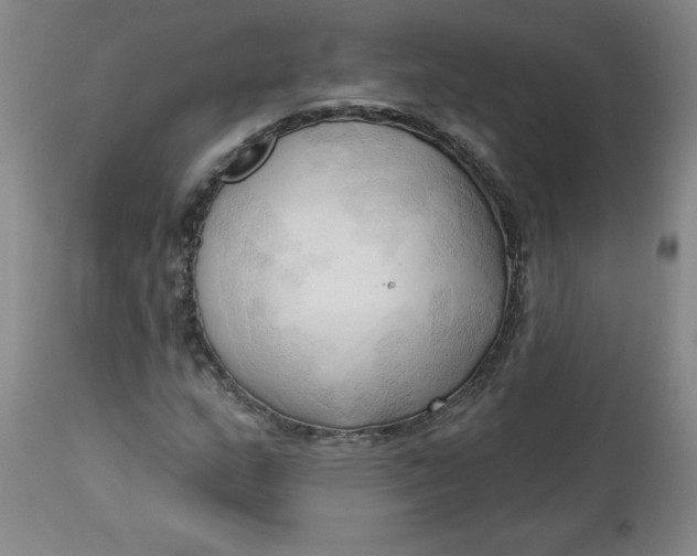 X0000113131159200909251232