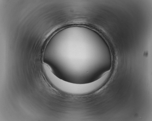 X0000113131162200909251232