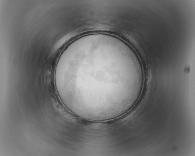 X0000113131163200909251232