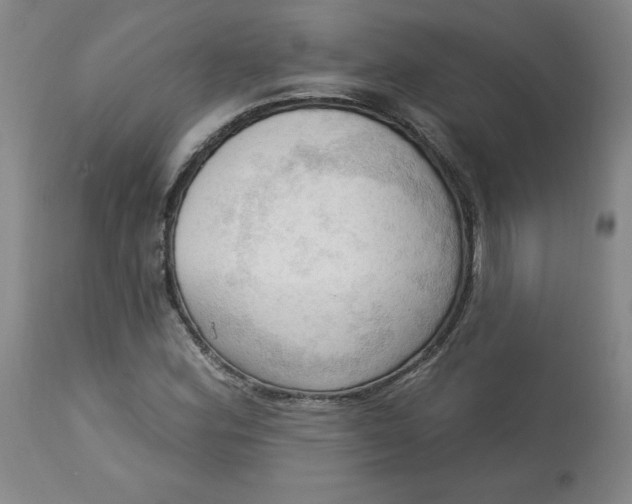 X0000113131164200909251232