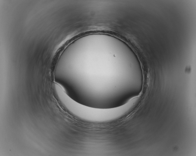 X0000113131165200909251232