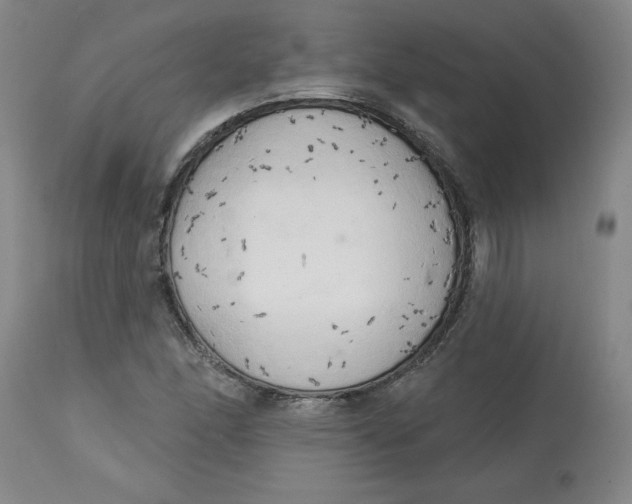 X0000113131166200909251232