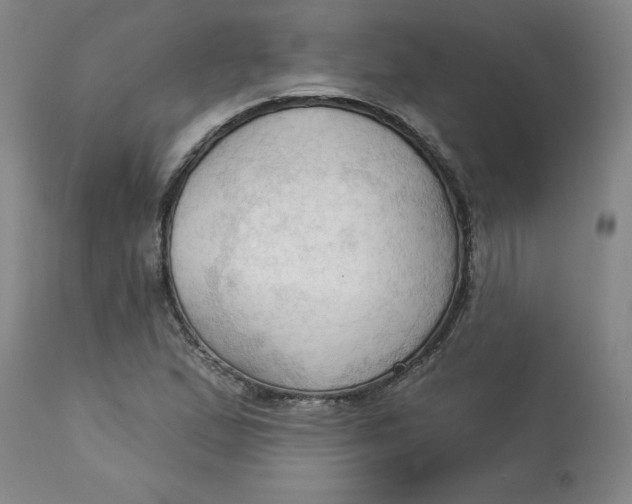 X0000113131167200909251232