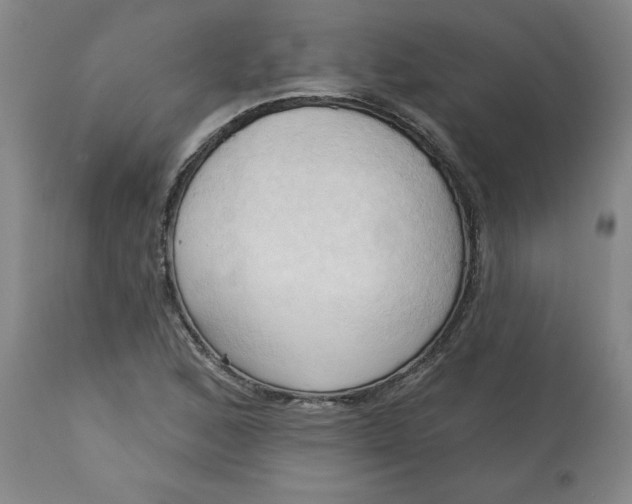 X0000113131168200909251232