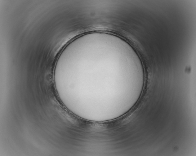 X0000113131170200909251232