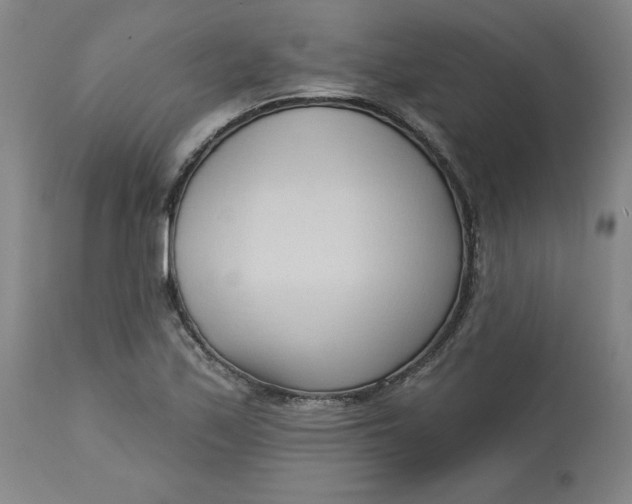 X0000113131171200909251232