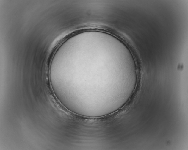 X0000113131172200909251232