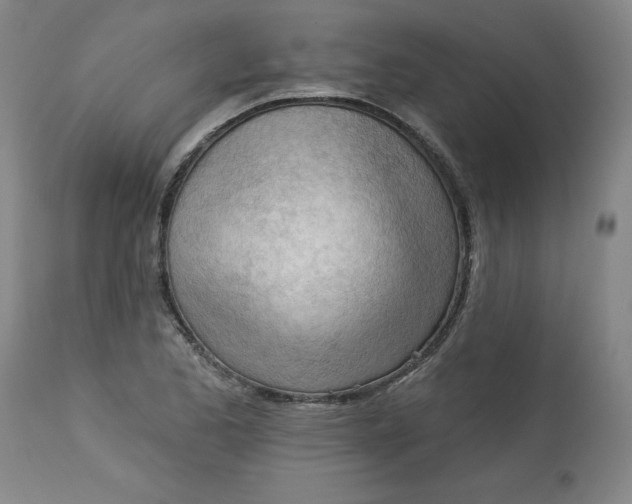 X0000113131173200909251232