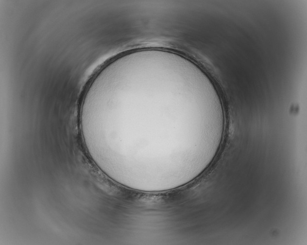 X0000113131174200909251232