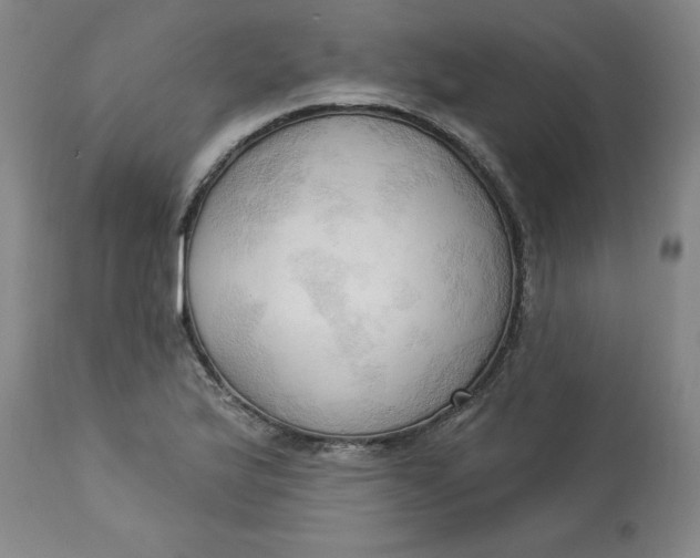 X0000113131175200909251232