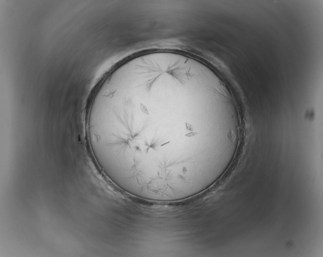 X0000113131176200909251232