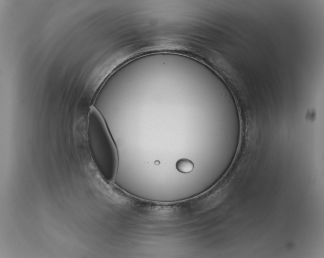 X0000113131177200909251232