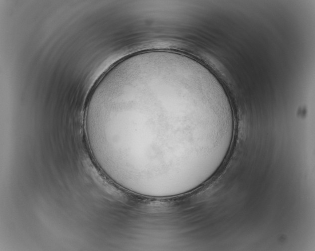 X0000113131178200909251232