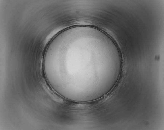 X0000113131179200909251232