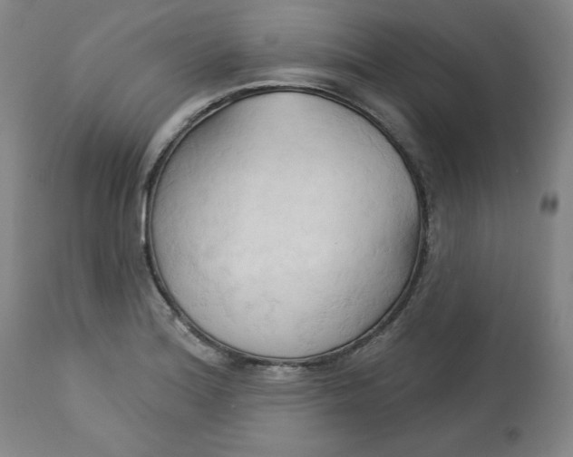 X0000113131180200909251232