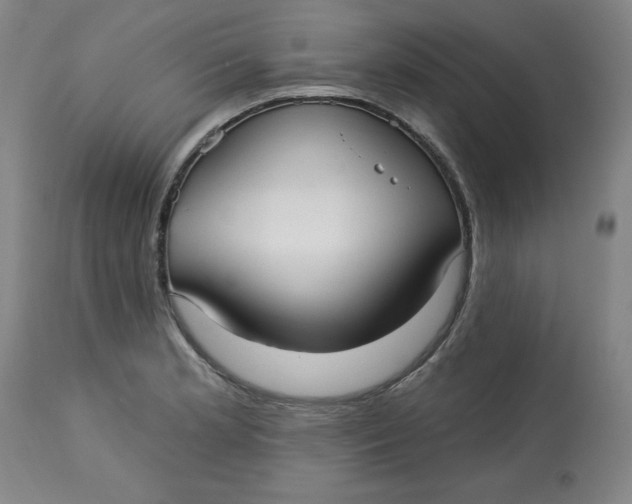 X0000113131181200909251232