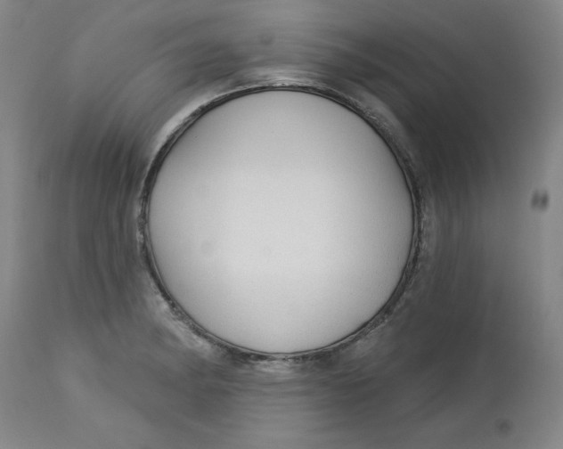 X0000113131182200909251232