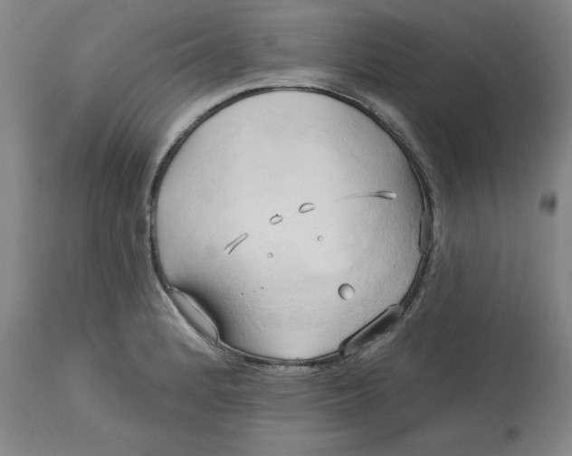 X0000113131184200909251232