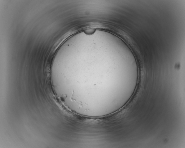 X0000113131185200909251232