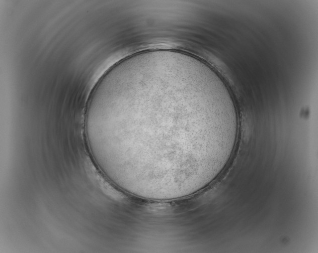 X0000113131186200909251232