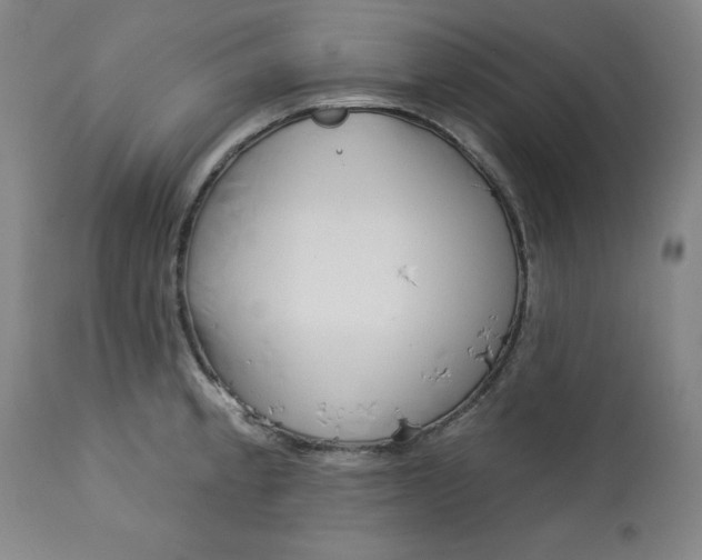 X0000113131189200909251232