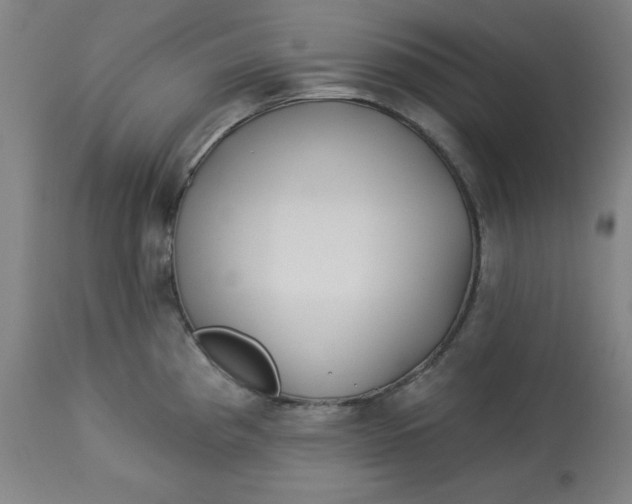 X0000113131193200909251232