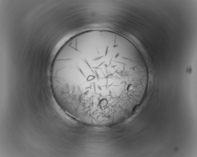 X0000113131196200909251232